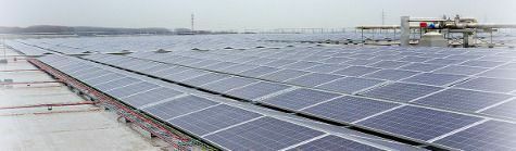 Zonnestroominstallatie bij d’Arta Frozen Food in Ardooie